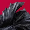 Design Deko Figur Kampffisch CROWNTAIL 65cm schwarz Betta Fisch Skulptur