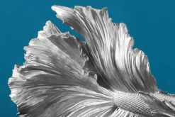 Design Deko Figur Kampffisch CROWNTAIL 35cm silber Betta Fisch Skulptur