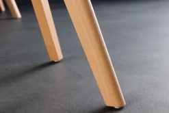 Design Stuhl SCANDINAVIA MEISTERSTÜCK transparent weiß Kunststoff Buchenholz natur