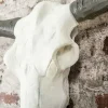 Imposanter Büffelschädel EL TORO 70cm natur massives Aluminium