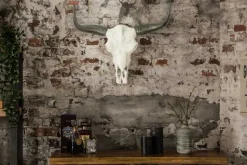 Imposanter Büffelschädel EL TORO 70cm natur massives Aluminium