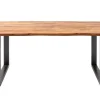 Massiver Baumstamm Esstisch GENESIS 180cm Akazie Baumkante Kufengestell Industrial Finish