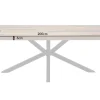 Massivholz Esstisch GALAXIE 200cm vintage braun Pinie recycelt Industrial Design