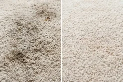 Teppichreiniger OA CARPET CARE 500ml PFC und VOC frei Tiefenreiniger für Textilboden